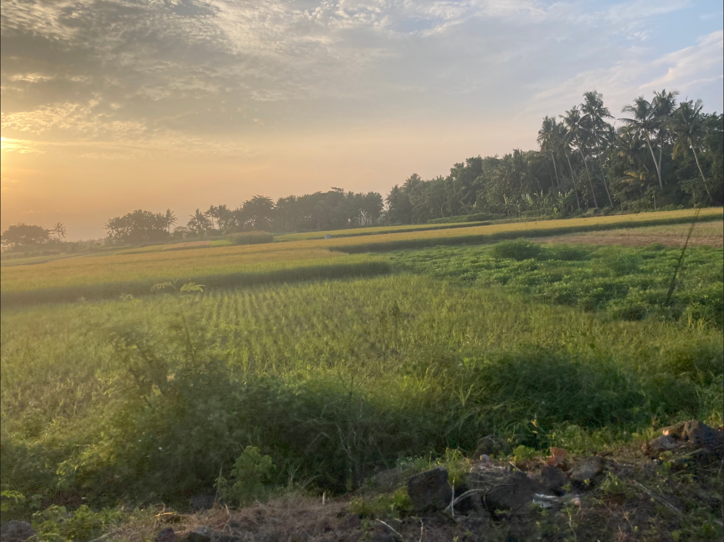 The landscape around Jogja at sunset