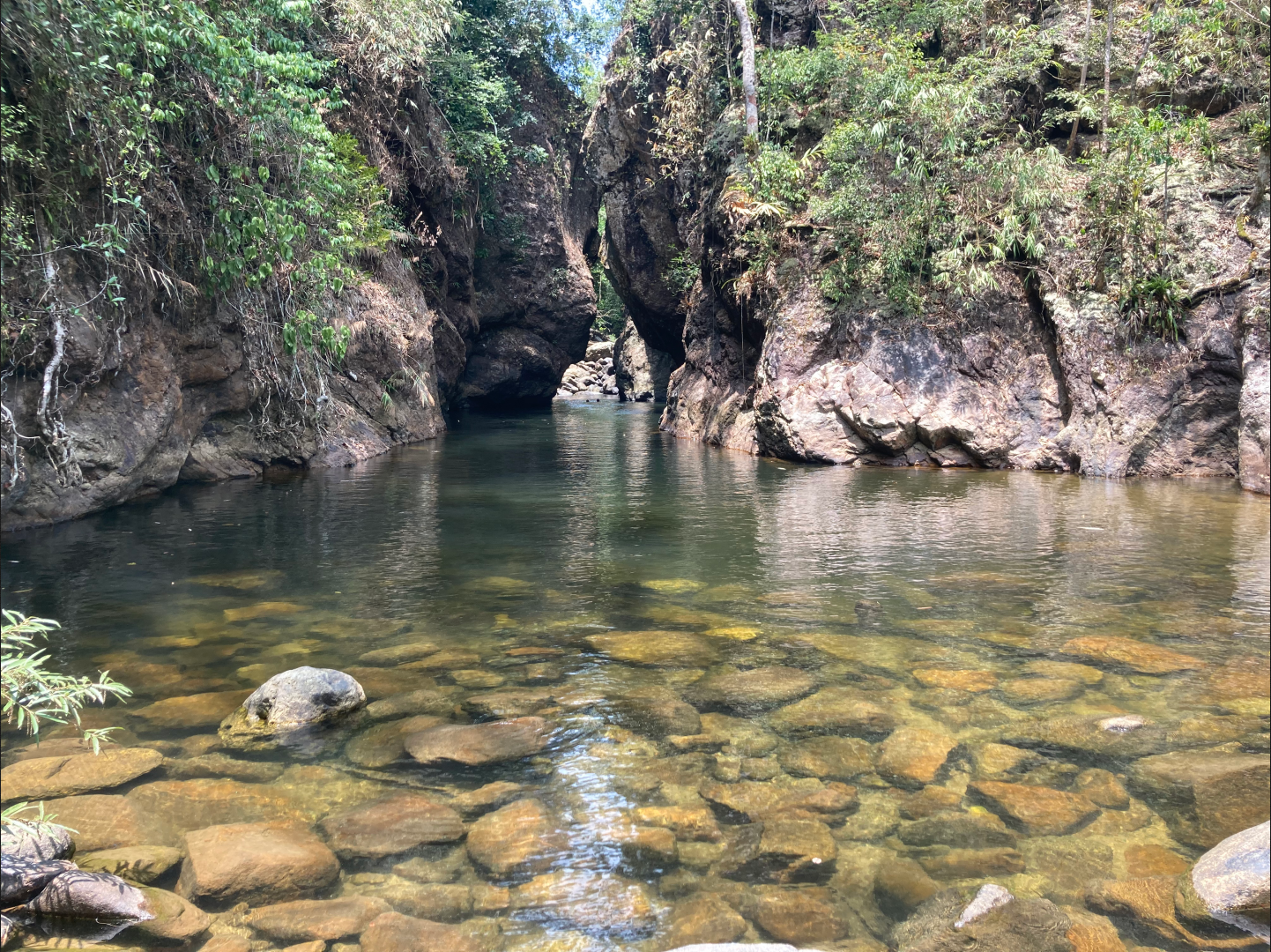 The spot to swim near the waterfall in the middle of the jungle